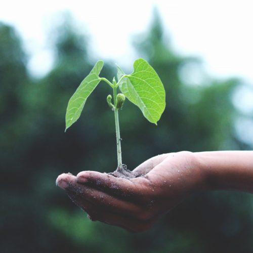 Amendments to the EEA4 report, 2019
