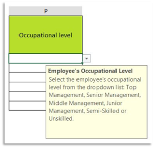 Occupational Levels Examples P: OCCUPATIONAL LEVEL – eeMASTERclass